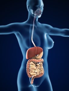 ケトジェニックのキーワード「ケトン体」